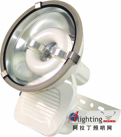 納六基色無(wú)極燈：燈中的壽星(圖)