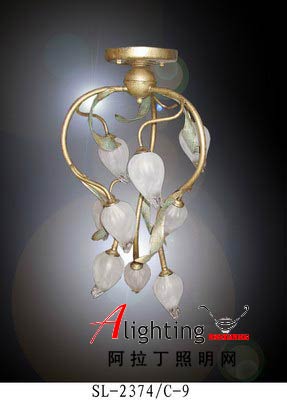 名副其實(shí)的漂亮“花”燈(圖)