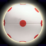 小甲克蟲(chóng)，節(jié)能新主張(圖)