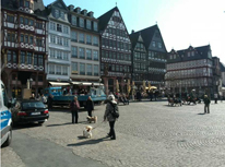 考察團(tuán)變身購物團(tuán)